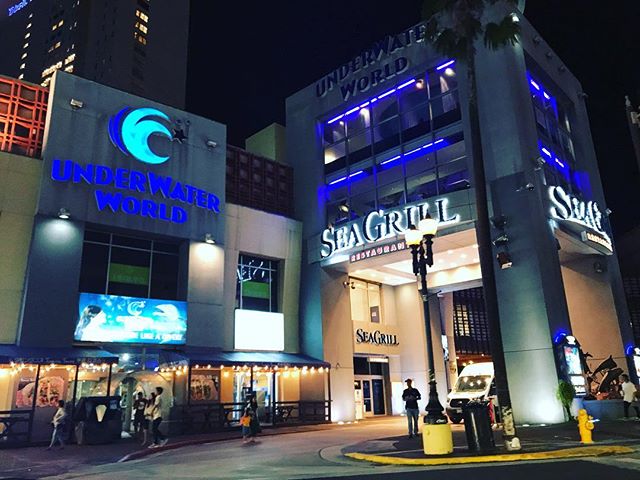 グアムに上陸！韓国発エンタメ型即席ラーメン店「Kラーメン」