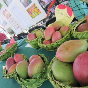 괌 여행 쇼핑 가이드 빌리지 오브 돈키 (돈키호테) Part. 3 괌의 식료품